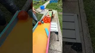 Thumbnail: Marble Run Race 🟢 A marble race featuring genius performer girls ✨
