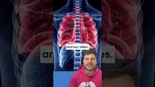 Thumbnail: Gary Brecka's Breathing Wrong