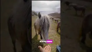 Thumbnail: 99.999% of the World won't see this place.