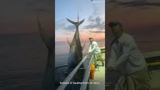 Thumbnail: Why Fishermen Kidnap This $3M Fish 😳