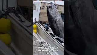 Thumbnail: The Most Expensive Cat Food 🤯 The Million-Dollar Tuna Secret!