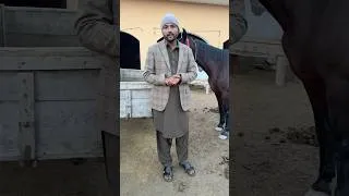 Thumbnail: Zohaib Pendu Sy Match Raat 10 Baje Pakistan Time