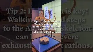 Thumbnail: Tama's 5 Essential Tips for the Pokemon Fossil Museum