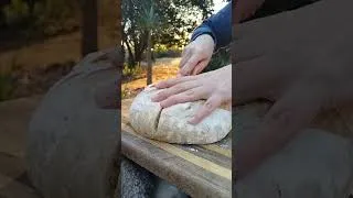 Thumbnail: Hiya Sugar… Let's Cut Into This Beautiful Sourdough Loaf! 😍🍞