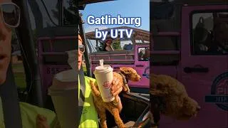 Thumbnail: #gatlinburg by UTV