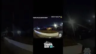 Thumbnail: The Tampa Police officer "did not reassess or provide the suspect with adequate time to comply."
