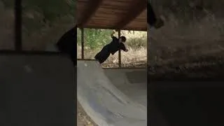 Thumbnail: Yuro Nagahara Ripping Hood River  #skateboarding