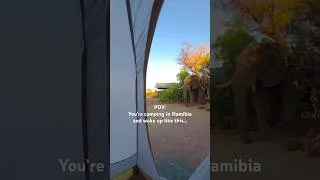 Thumbnail: POV: You’re camping in Namibia 🐘 #wildlifeencounters