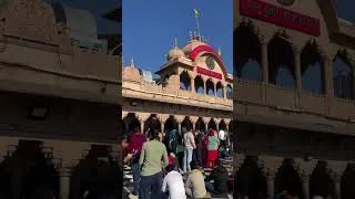 Thumbnail: Barsana Darshan 2026 ❤️ #budgettravel #barsanadham #barsanadarshan2026 #shorts