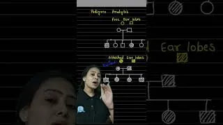 Thumbnail: pedigree Analysis | NEET 2026 | #tanuja_biostudies #pedigreeanalysis #shorts