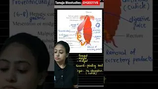 Thumbnail: cockroach Digestive system | Digestive System | #neet2026 #tanuja_biostudies #cockroach #shorts