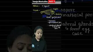 Thumbnail: cockroach morphology part 4 | Reproductive System | #neet2026 #tanuja_biostudies #shorts #cockroach