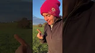 Thumbnail: The Fence Worked Too Well