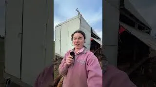 Thumbnail: I Have To Get Rid Of 500 Chickens
