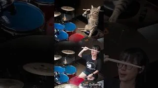 Thumbnail: Bro never moved his legs... #psychosocial #slipknot #tarnsoftwhip #funnycats #drummergirl