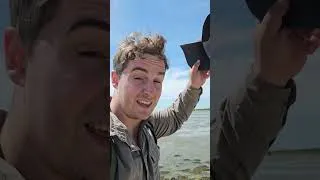 Thumbnail: Practice 12* Mile Walk around The New Forest! #hiking