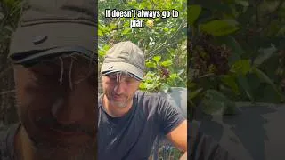 Thumbnail: It doesn’t always go to plan
