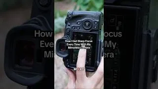 Thumbnail: Mirrorless Auto Focus Camera Settings #portrait #portraitphotography #camera #camerafocus #phototips