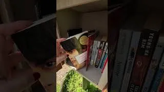 Thumbnail: sunny days 🤝 little libraries #littlefreelibrary #springdiaries #books