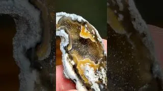 Thumbnail: The Glistening Diamonds inside Agatized Coral Geodes!