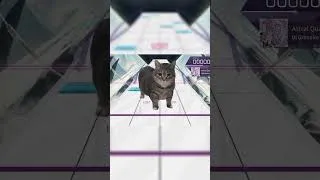 Thumbnail: OIIAOIIA Quantization #arcaea #cat #meme #rhythmgame #viralvideo #trending