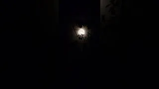 Thumbnail: Full Blue Moon over Louisiana // May 31, 2026