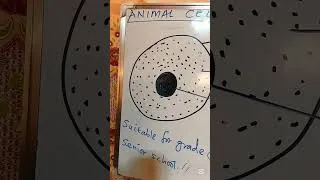 Thumbnail: All you need to know about Animal cell Grade 8,9