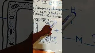 Thumbnail: Plant cell