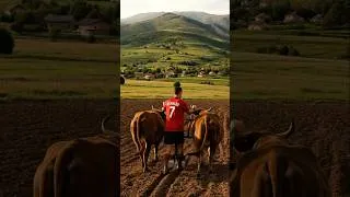 Thumbnail: Sad Story 😢 Ronaldo’s Crop Destroyed Overnight 😱