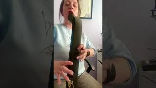 Thumbnail: Bach Gigue on a Sigo Bass Recorder! Review coming soon…