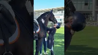 Thumbnail: Terecht een hele blije Dinja na haar kür met Mauro🐴 #teamnl #horses #dressage #horseriding #worldcup