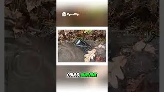 Thumbnail: World's Most Rugged Phone  Sonim XP3300 Shock Test