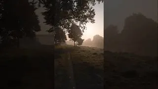 Thumbnail: Misty morning - Drone footage