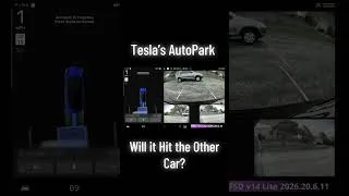 Thumbnail: Tesla’s AutoPark Gets Interrupted