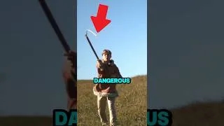 Thumbnail: Why Ancient Warriors Feared Trees More Than Steel