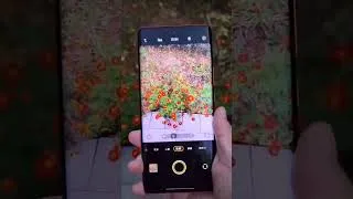 Thumbnail: Huawei Vs iphone 14 Pro Max Camera Shot #shorts