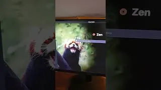 Thumbnail: best web browser then chrome