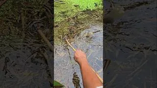 Thumbnail: Water bottle se Fishing #ideas #jugar