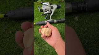 Thumbnail: Village pond fishing part-1 #villagelife #villagefishingvlog