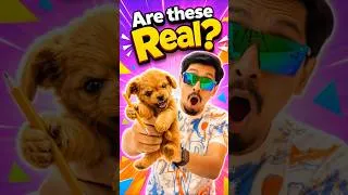 Thumbnail: 3 Crazy Cool Gadgets ❤️😍