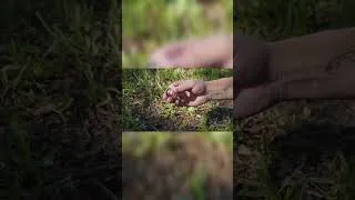Thumbnail: RingConn Gen 3 - The Best Smart Ring of 2026?