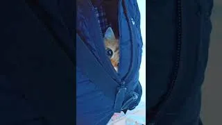 Thumbnail: Marcel is going to the Netherlands 🚗 to his new parents❤️