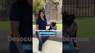 Thumbnail: Desocupar los Albergues 2026