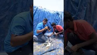 Thumbnail: Underwater Secret Room #teluguexperiments #shorts #shortvideo