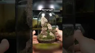 Thumbnail: Creating a Glass Dome Mountain Terrarium!⛰️