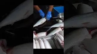 Thumbnail: Most Satisfying Milkfish Cutting Skills in Taiwan!