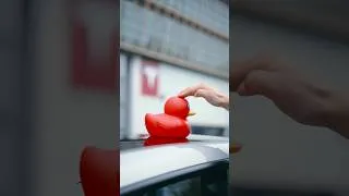 Thumbnail: Sensitive Seats | Model Y L