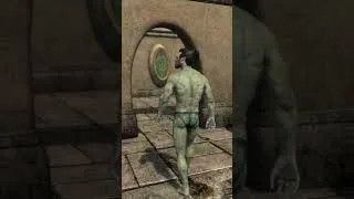 Thumbnail: Do you, or anyone you know, have experience with creating 3D clothing? Join us! #skywind #skyrimmods