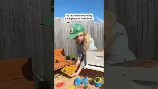Thumbnail: Sandbox of Bees