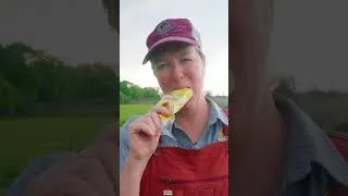 Thumbnail: Dairy Delights | Goat Milk Popsicles